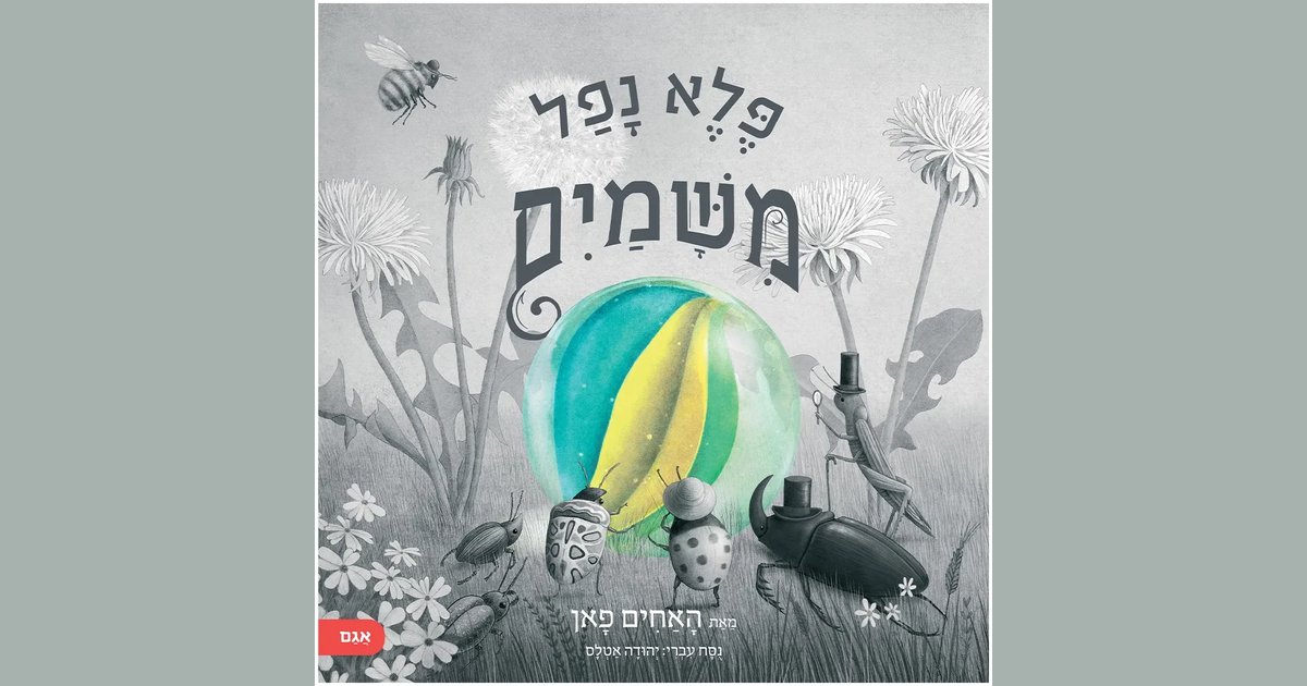 פלא נפל משמים | פאן האחים | מחיר ₪44