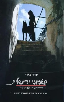 עטיפת הספר פעמוני ירושלים-החצר הגדולה מאת עודד בארי, בהוצאת דני ספרים